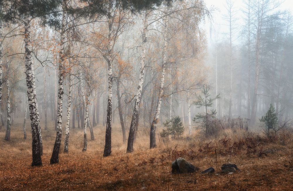 Нежность осени