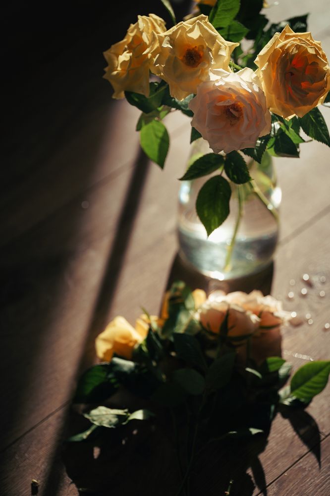 Photograph by Yuliia Pashentseva