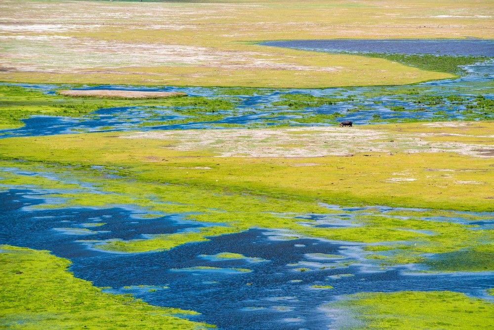 Photograph by Катя Катюнина