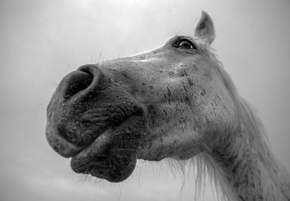 Photograph by Галина Ломако