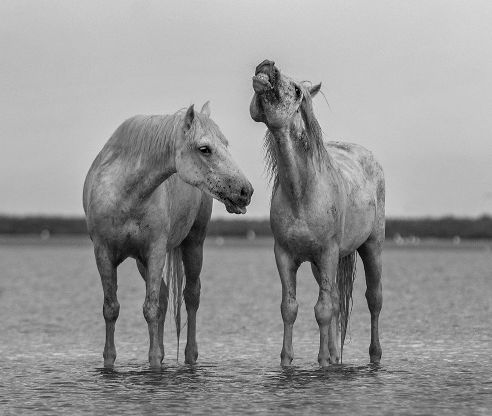 Photograph by Галина Ломако