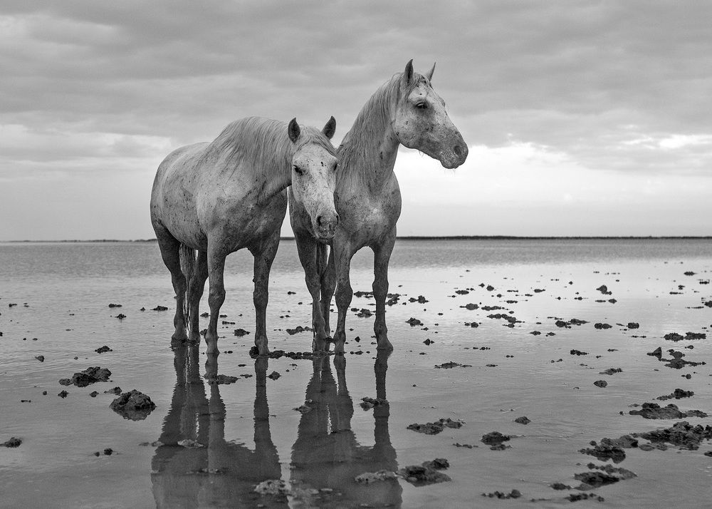 Photograph by Галина Ломако