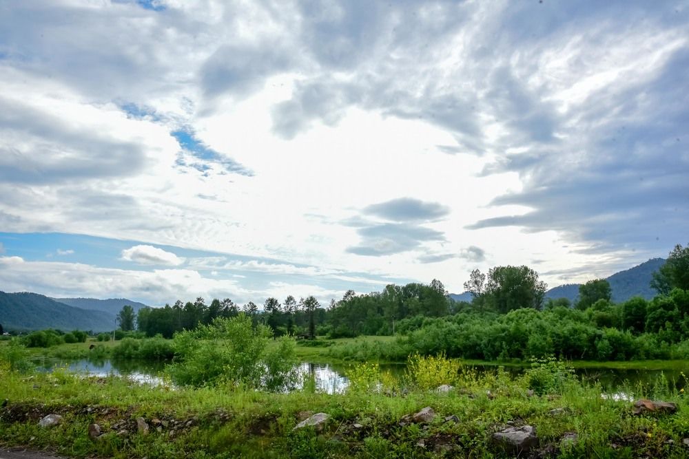 Очарование русской природы