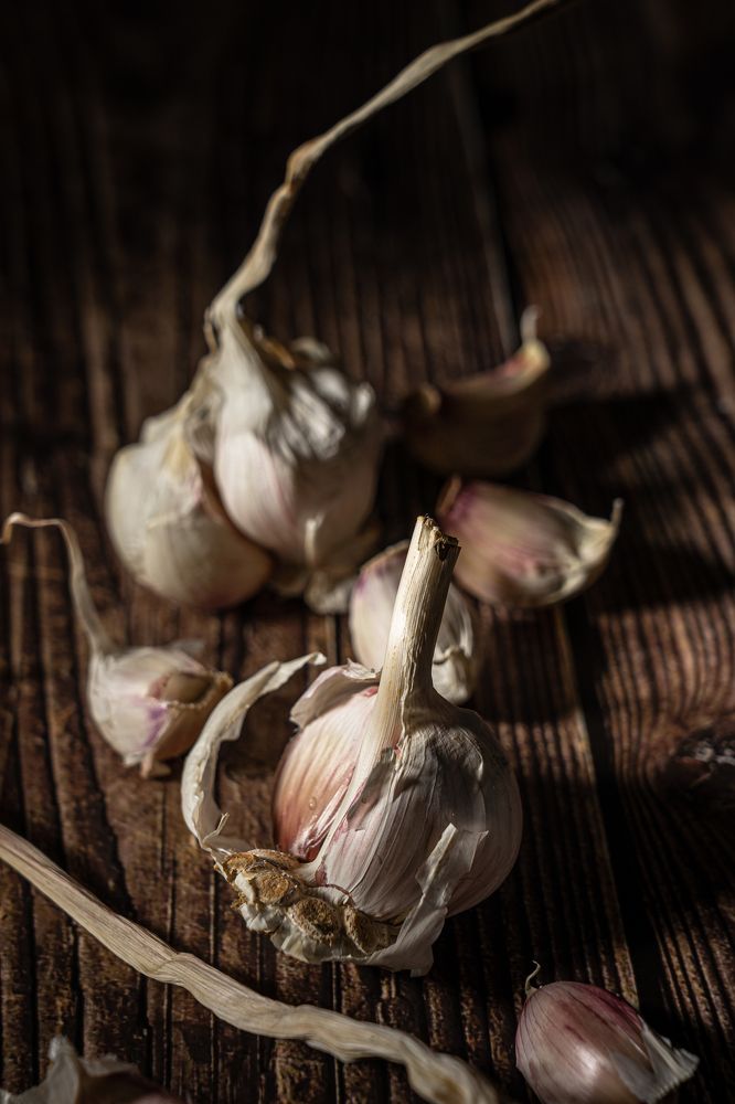 Photograph by Yuliia Pashentseva