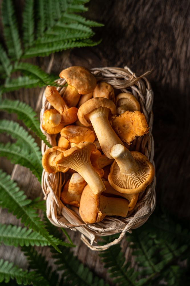 Photograph by Yuliia Pashentseva