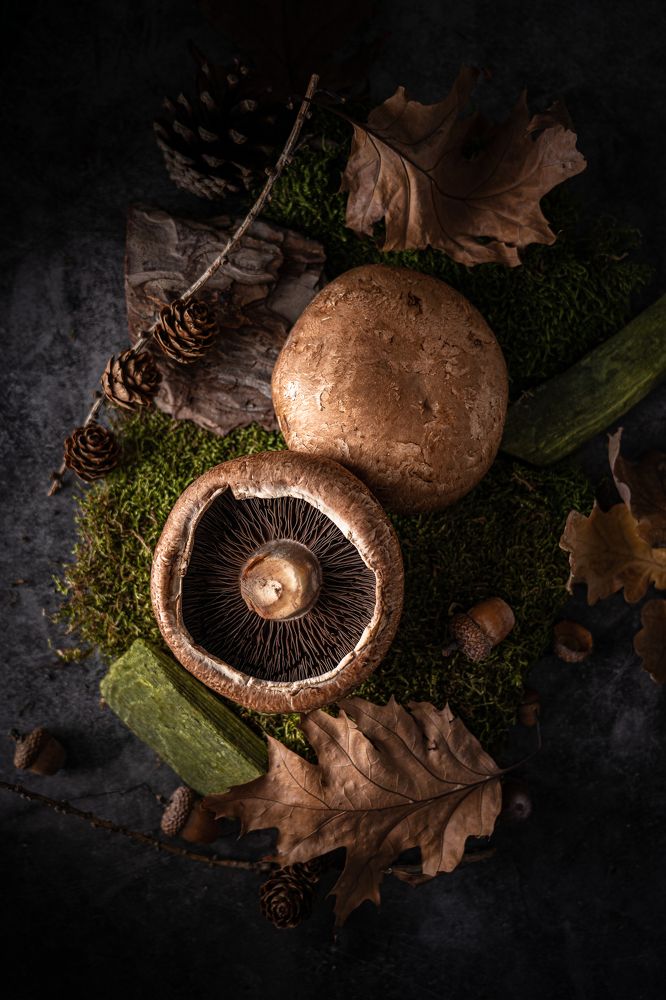 Photograph by Yuliia Pashentseva