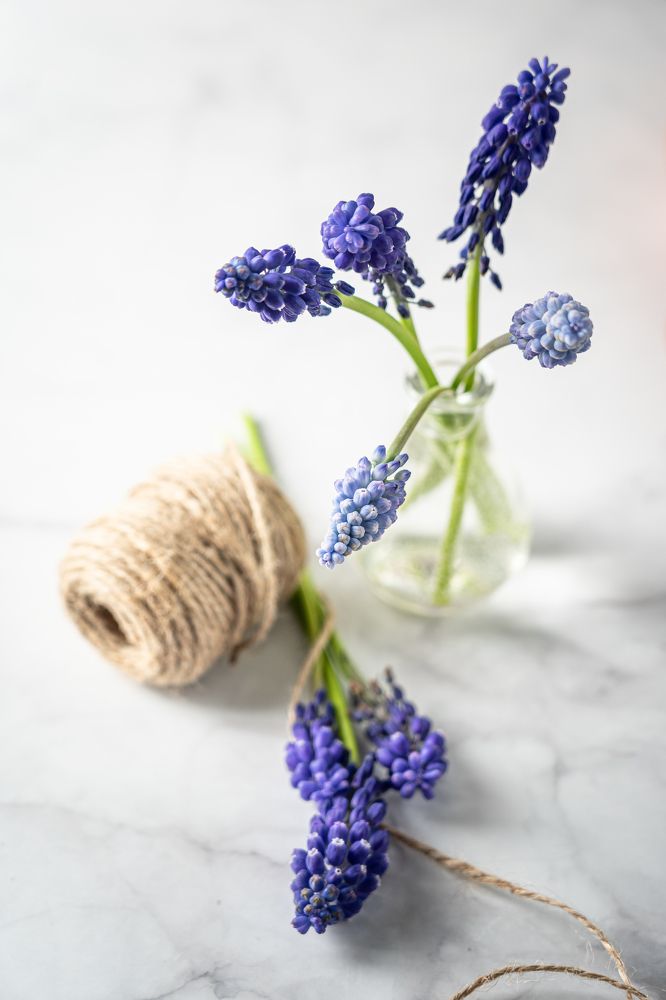 Photograph by Yuliia Pashentseva