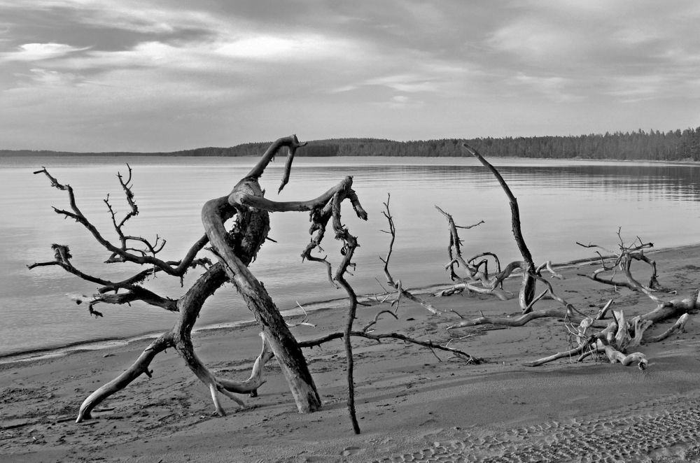 Танцующие на берегу