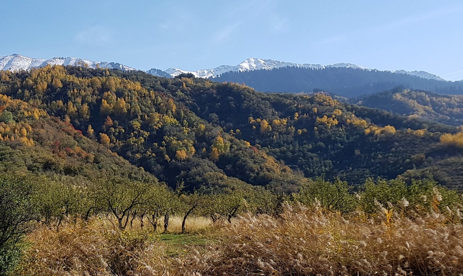 Photo #5868029