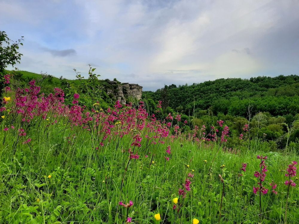 Photograph by Ева