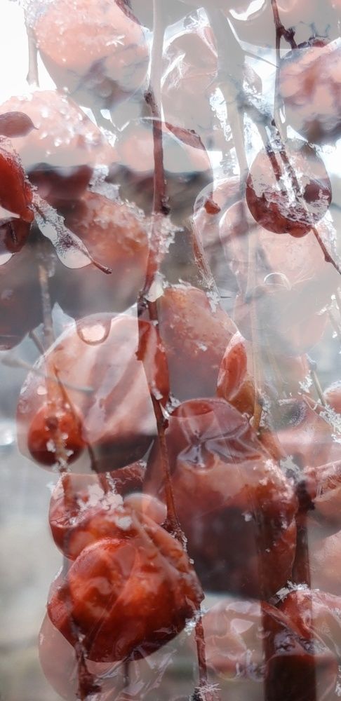 Photograph by Наталья Пусулиди