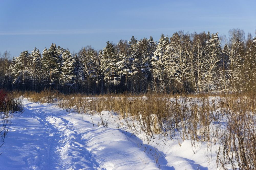 Photograph by Игорь Новиков