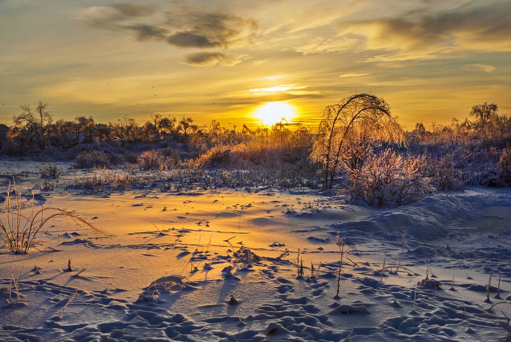 Photograph by Игорь Новиков