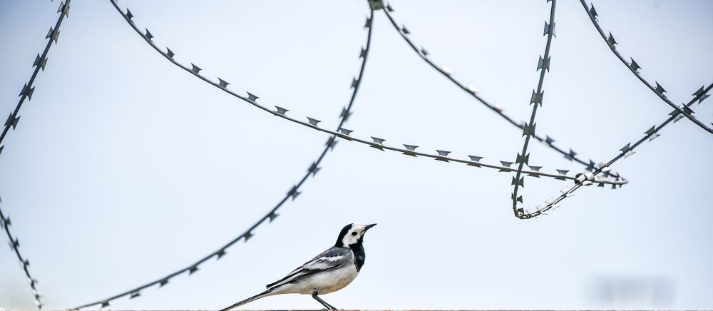 Фотография автора Дмитрий Дадонкин