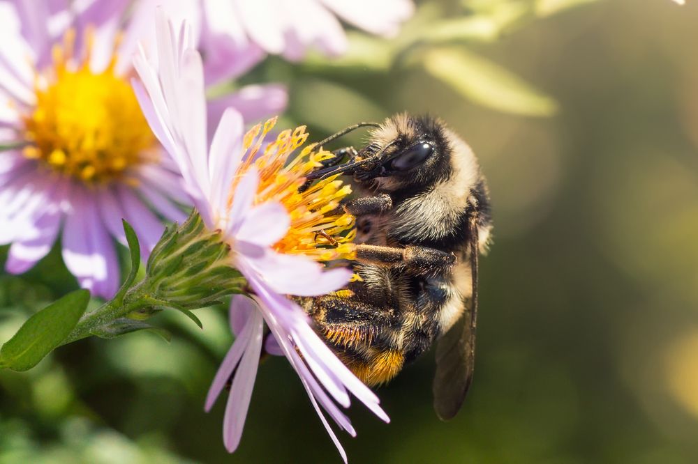 Photograph by Дмитрий Огольцов