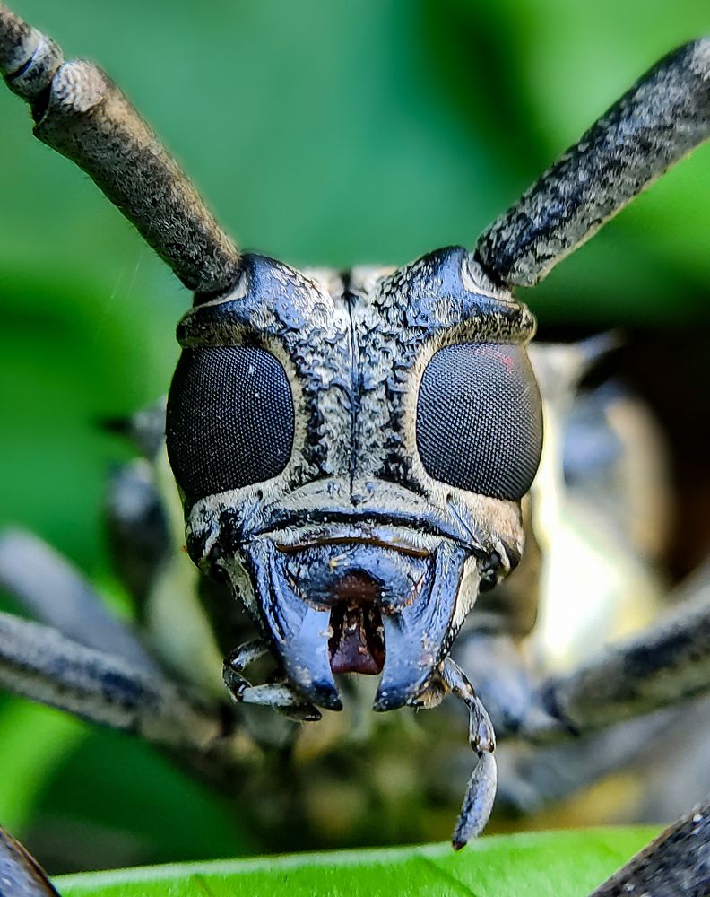 Photograph by Abhiram R