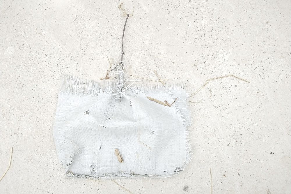 Photograph by Pavel Hrancik