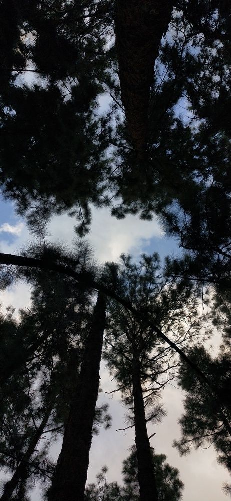 Photograph by Arafath ummer kp