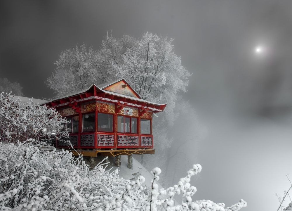 В городском парке