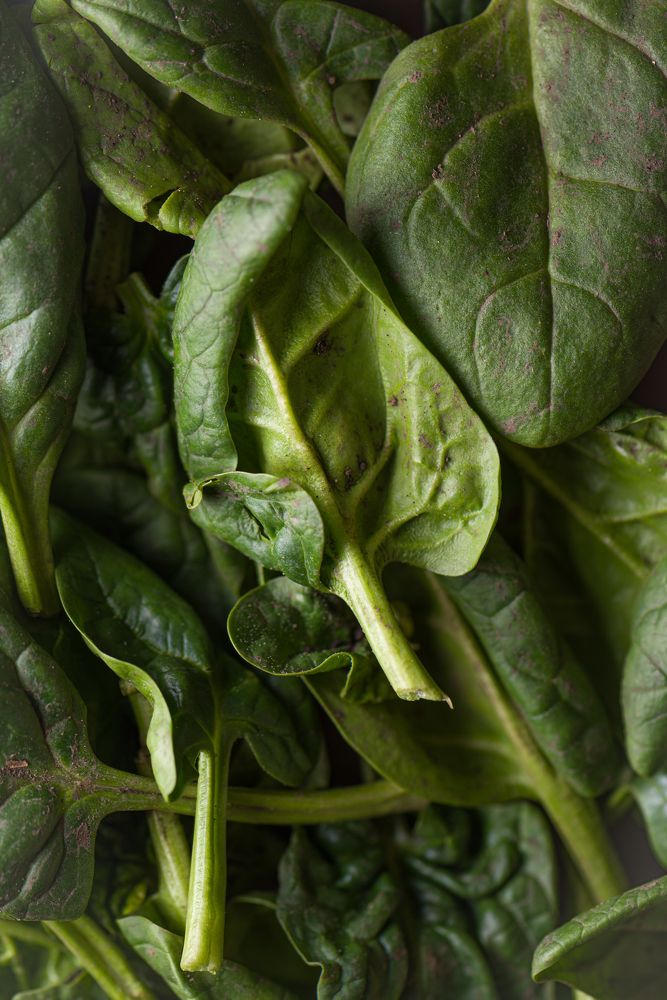 Photograph by Юлия Озерных