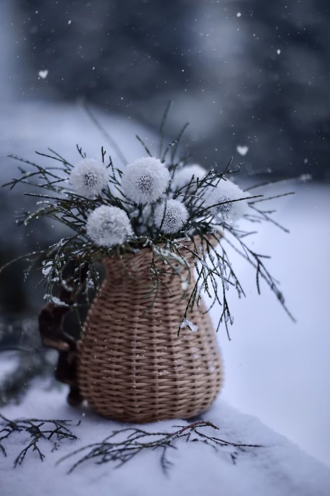 Photograph by Татьяна Кытина