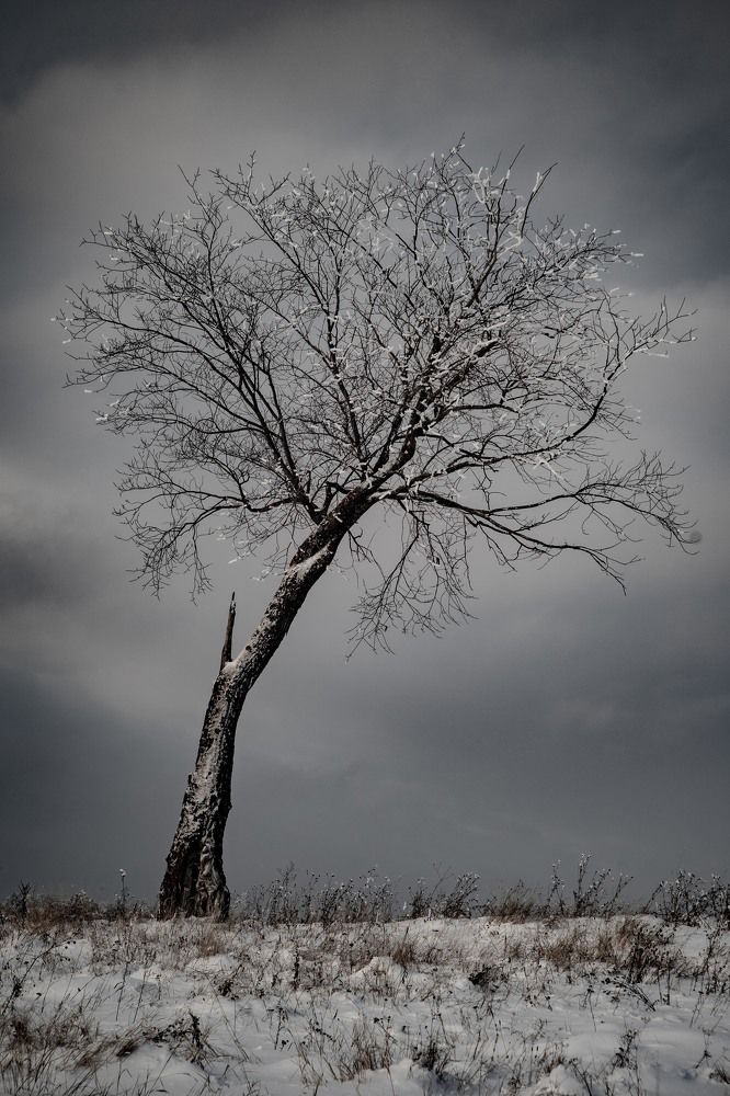 Photograph by Сергей Забиякин