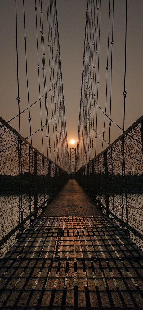 Photo #5868249