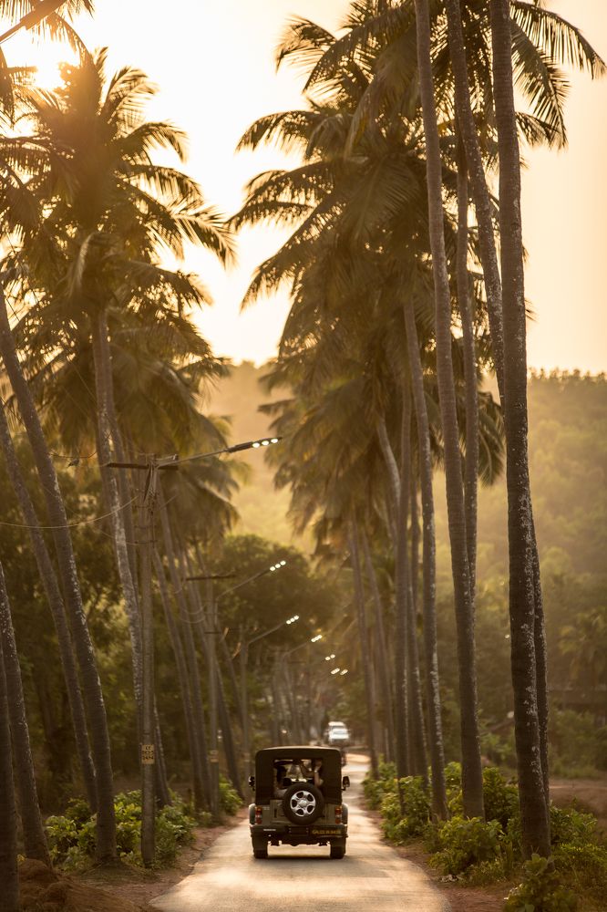 Photograph by Михаил Горда