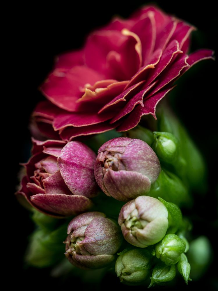 Photograph by Яна Ленчевская