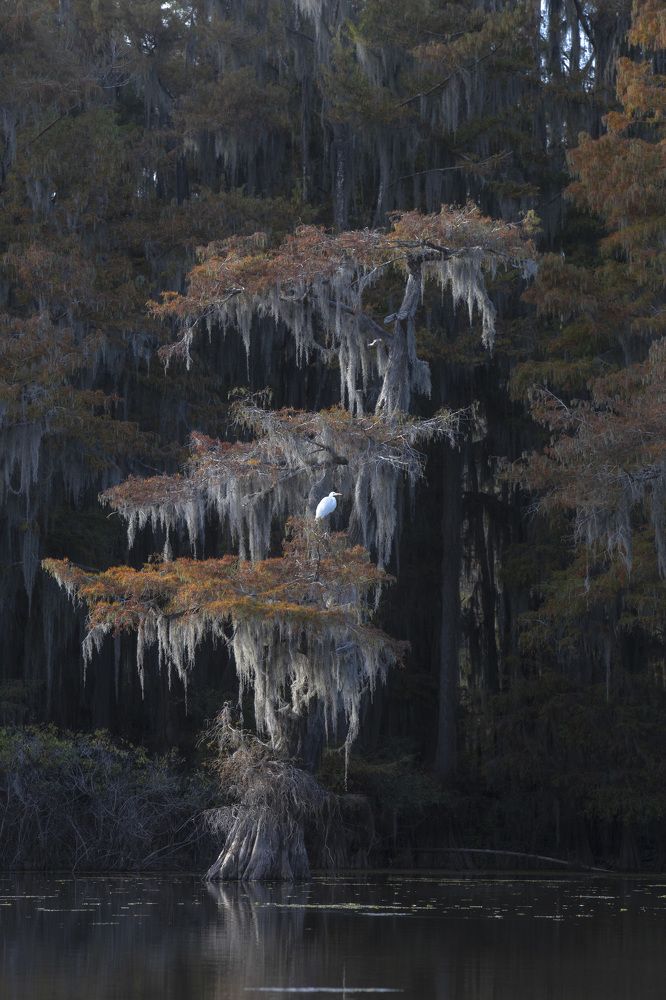 Photograph by Галина Ломако