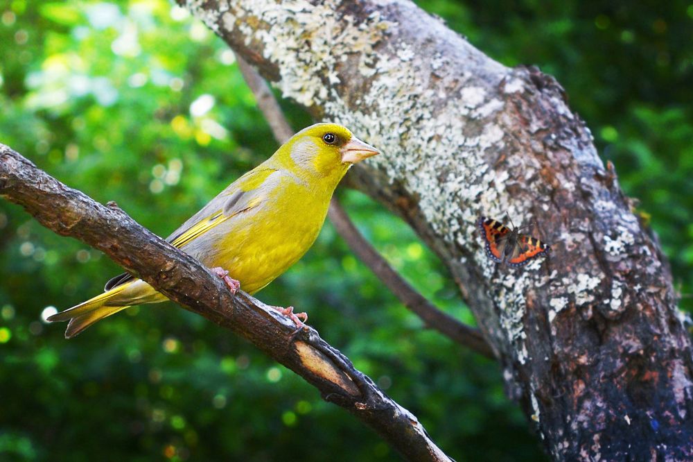Photograph by Константин Юрченко