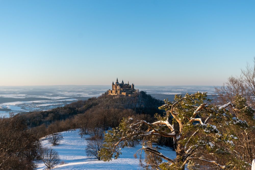 Photograph by Людмила Комарова