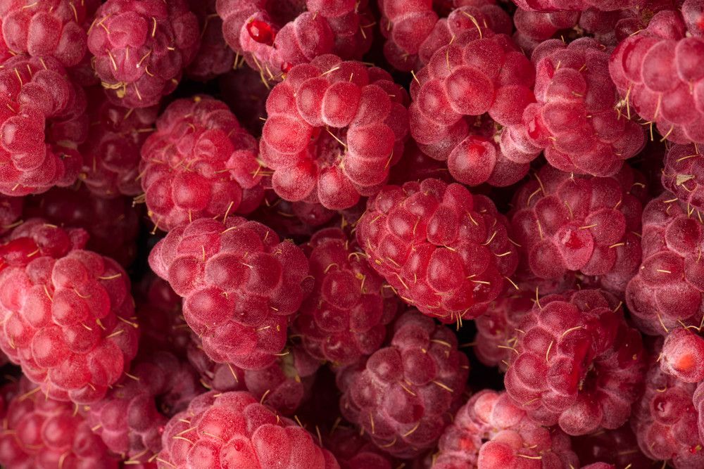 Photograph by Юлия Озерных