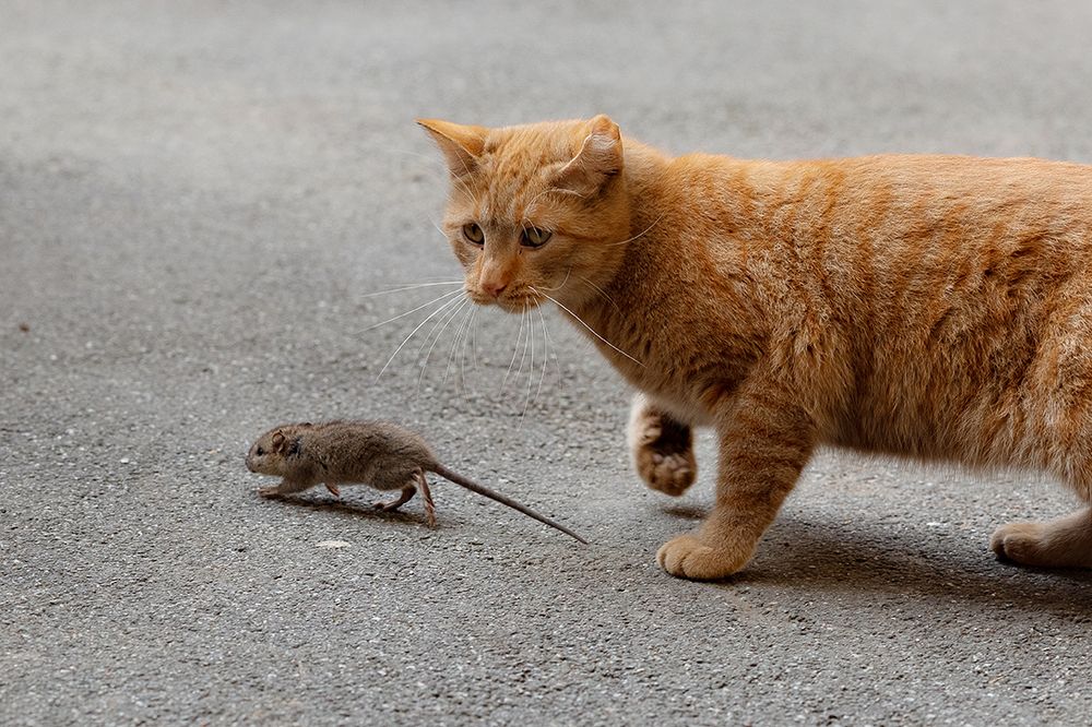 Photograph by Чистякова Валерия