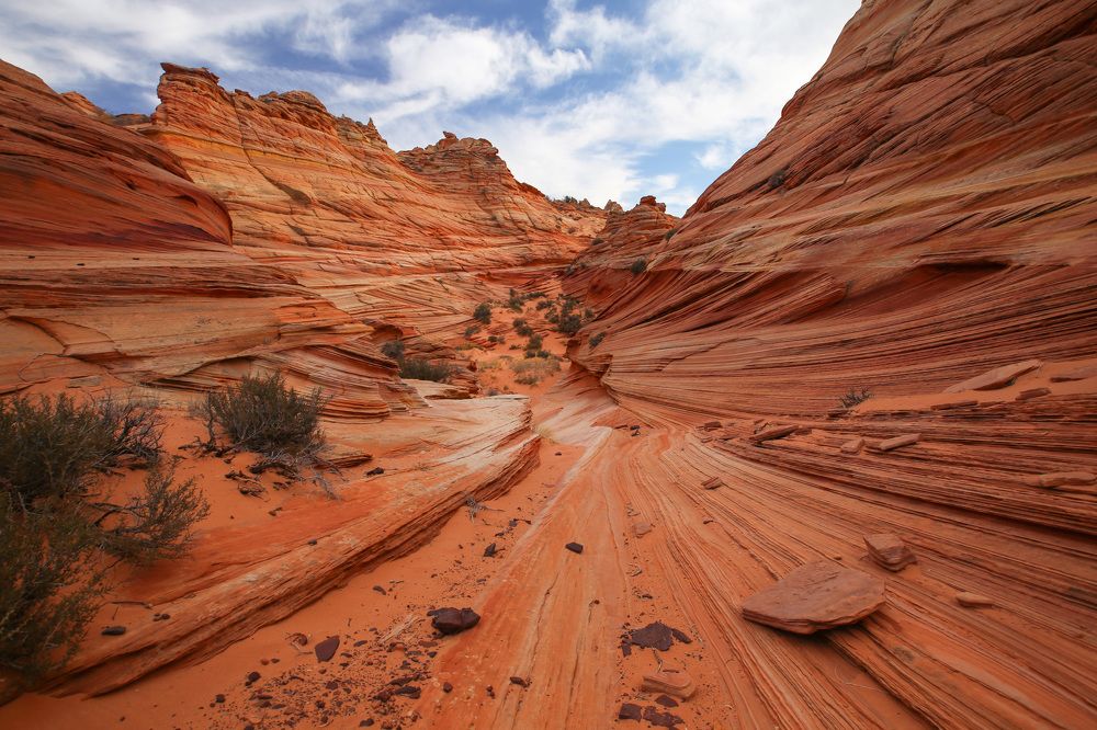 Photograph by Галина Ломако