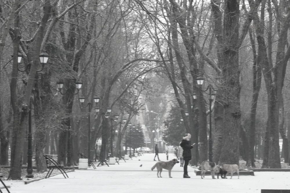 Photograph by Башлаев Константин