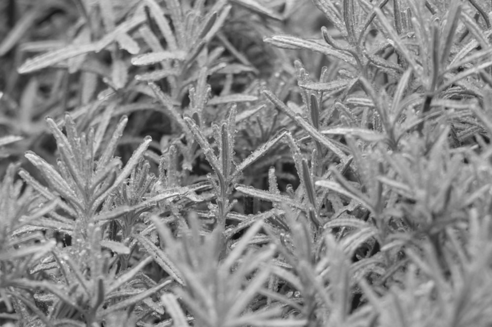 Photograph by Башлаев Константин