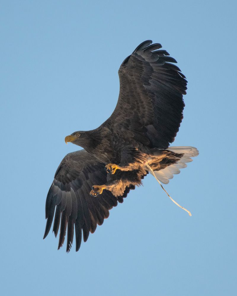 Photograph by Иван Боровков