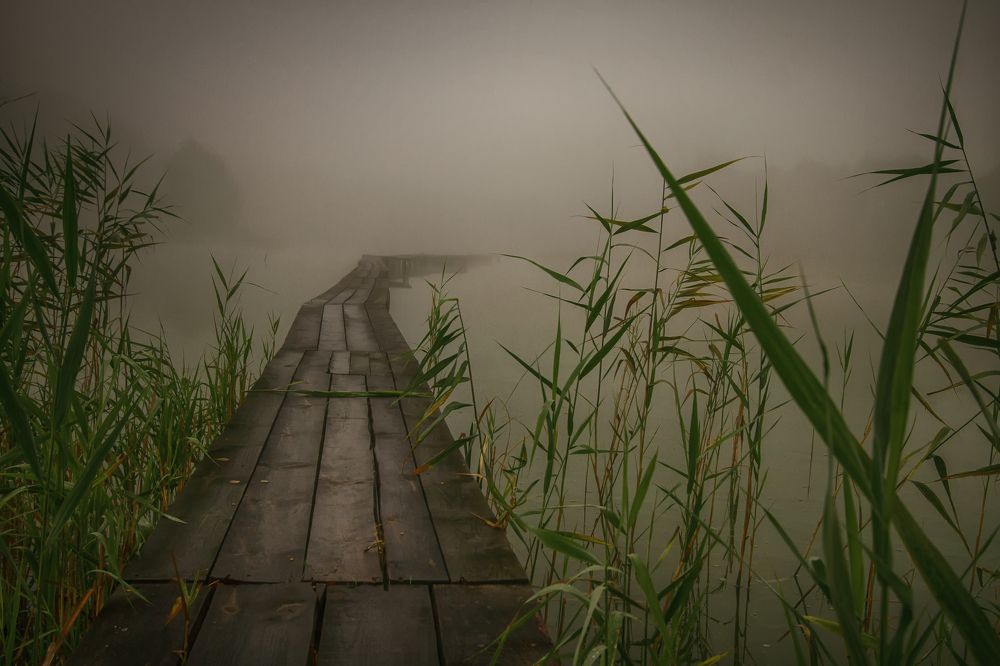 Path into the morning