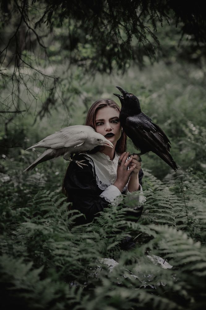 Фотография автора Ольга Баранцева