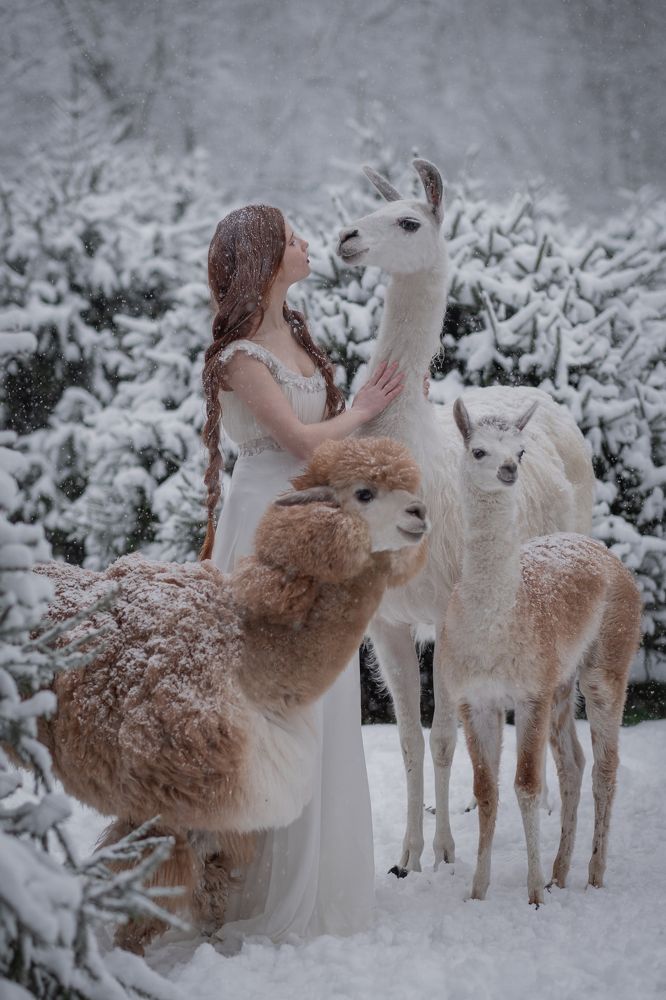 Фотография автора Ольга Баранцева