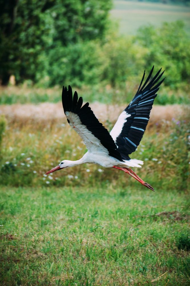 Photograph by Oleksandr Masnyi