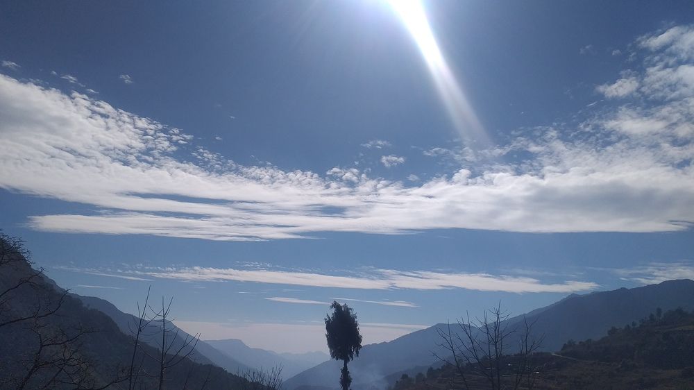 Photo #5868584