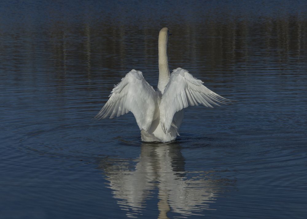 Photograph by Алексей Крукович