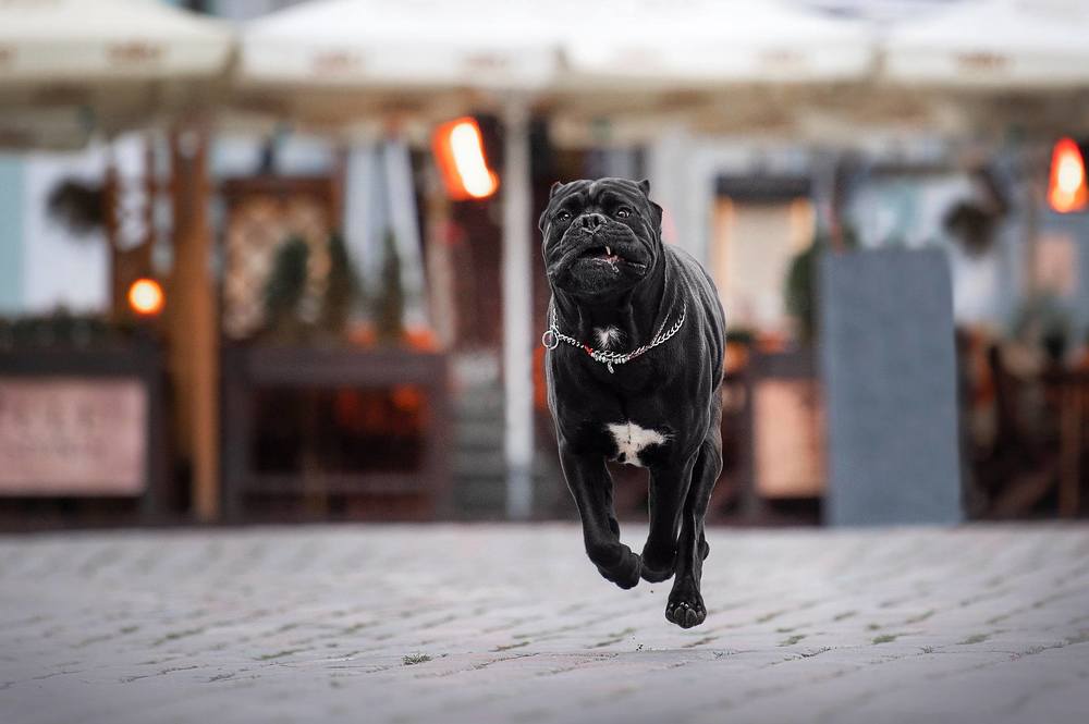 Photograph by Karina Saarestik