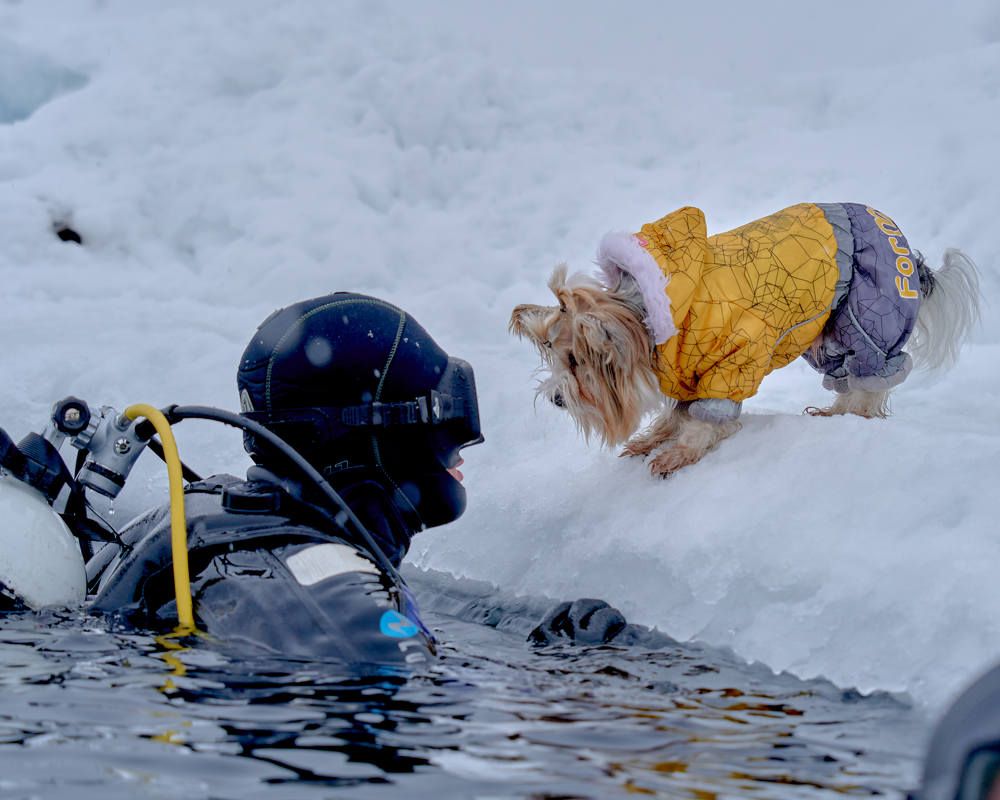 Хозяин, как ты там? холодно же