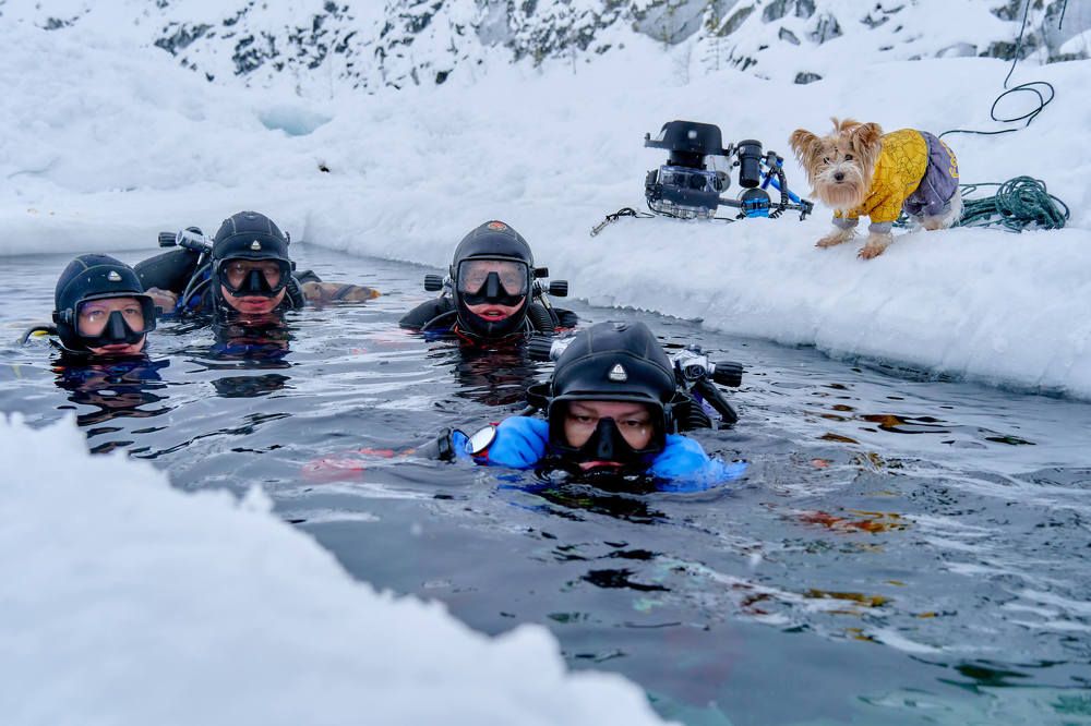 подлёдный дайвинг