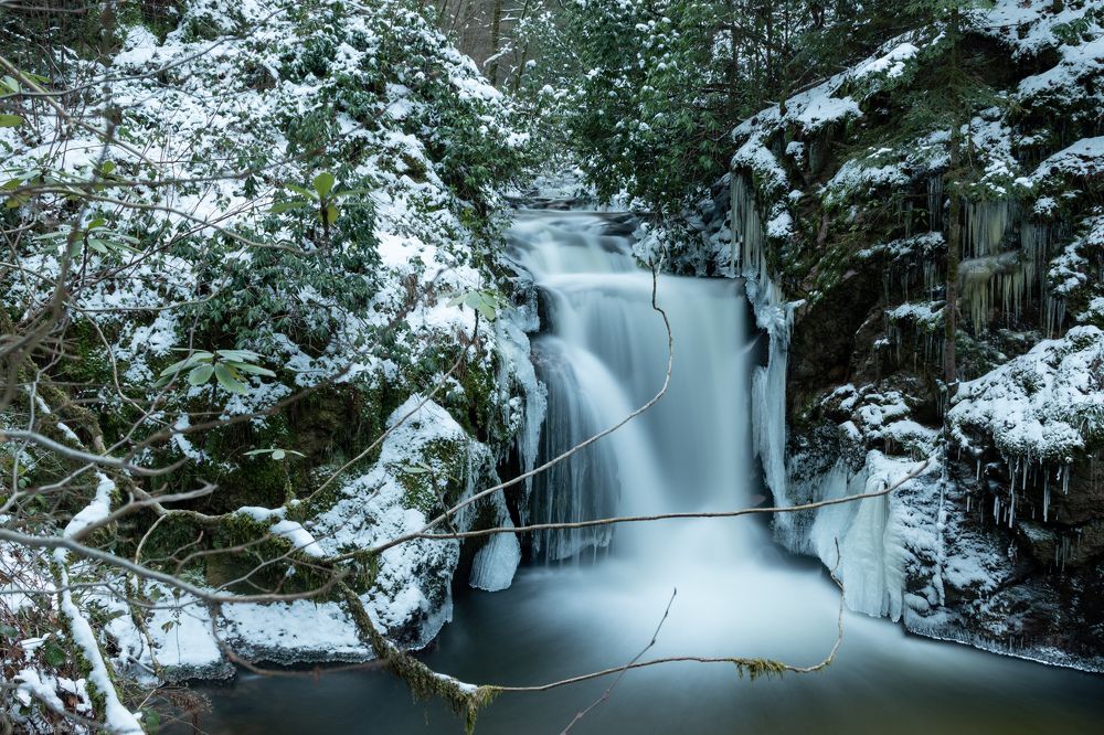 Photograph by Людмила Комарова