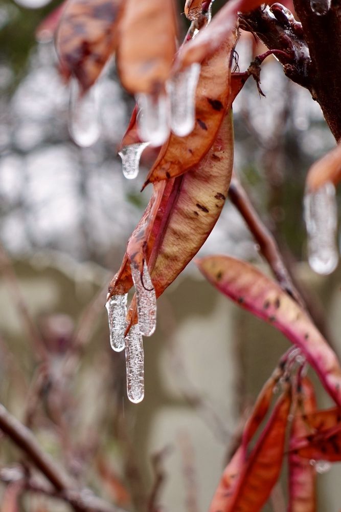 Обледенение