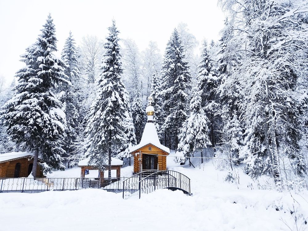 Photograph by Ольга Карабулина